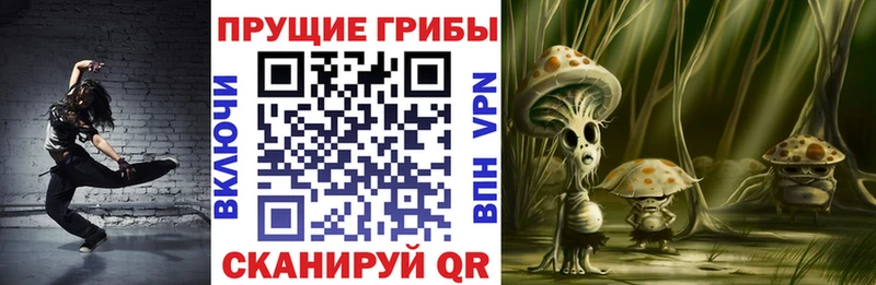 Псилоцибиновые грибы мицелий Константиновск