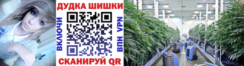 Бошки Шишки сатива что такое наркотик Константиновск